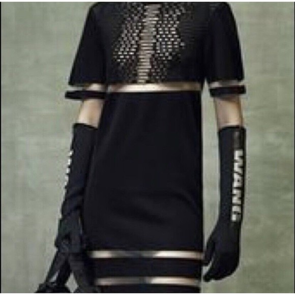 Alexander Wang X H&M NWOT Perforated Sheer Mesh Panel Black Dress S Italy Made - Picture 7 of 16